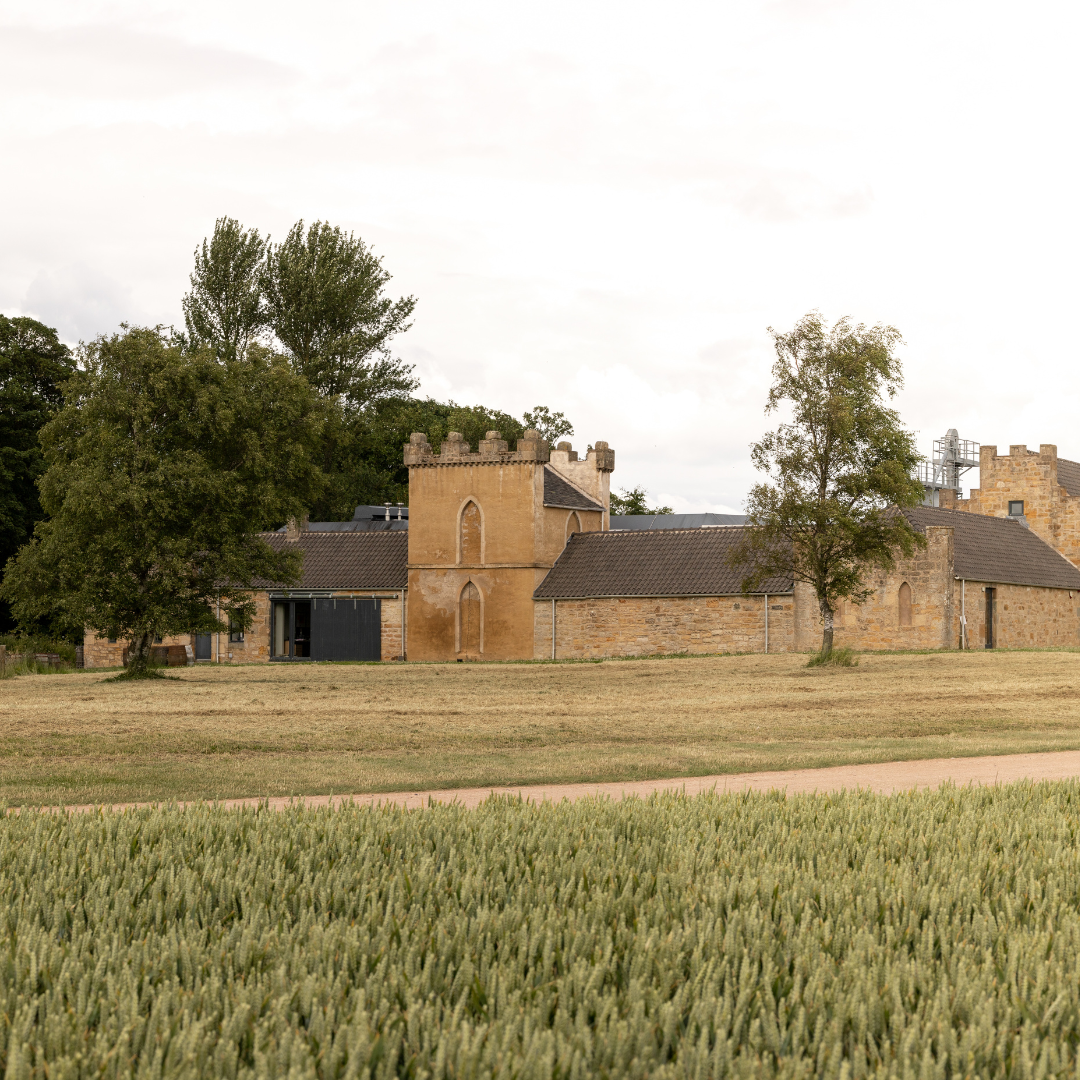 Where Can I Find Whisky Tours in Scotland? (2025 Guide)