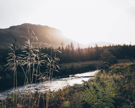 A Journey into Speyside