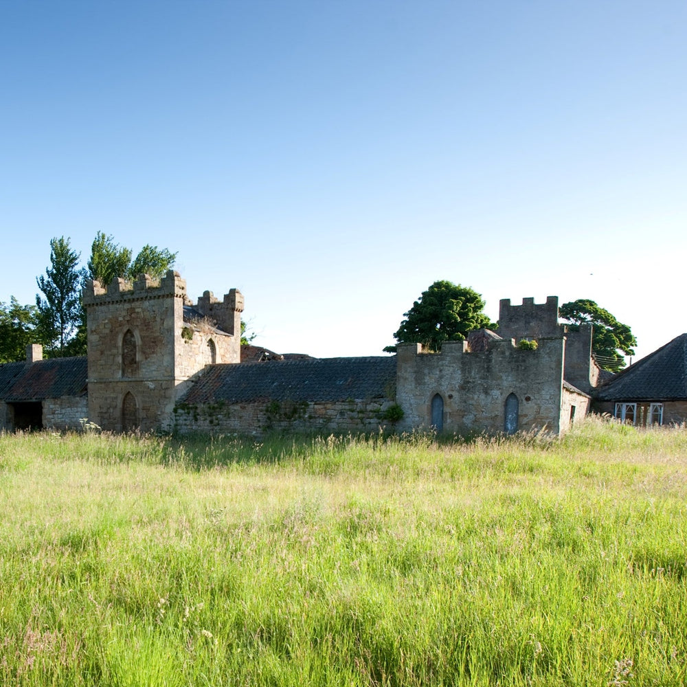 Building a Single Malt Distillery: Part 1 of 3 with William Wemyss
