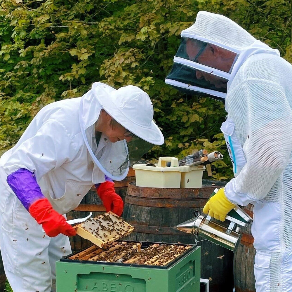 Update on the East Neuk Bees!