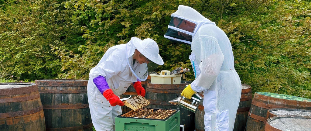 Update on the East Neuk Bees!